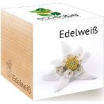 Feel Green 296527 Ecocube Edelweiß, Nachhaltige Geschenkidee (100% Eco Friendly), Grow Your Own/Anzuchtset, Pflanzen Im Holzwürfel, Made in Austria