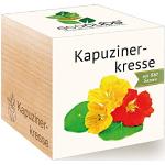 Feel Green Ecocube Kapuzinerkresse, Bio Zertifiziert, Nachhaltige Geschenkidee (100% Eco Friendly), Grow Your Own/Anzuchtset, Pflanzen Im Holzwürfel, Made in Austria