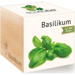 Feel Green ecocube Kräuter - Basilikum