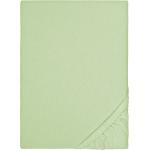Grüne Biberna Feinbiber Bettwäsche aus Textil 200x200 