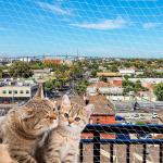 Ferplast Katzennetze & Balkonnetze 