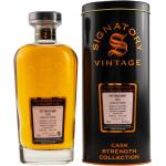 Schottische Fettercairn Single Malt Whiskys & Single Malt Whiskeys Jahrgang 1997 abgefüllt 2020 Highlands 