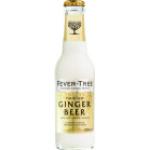 Alkoholfreies Indisches Fever Tree Ginger Beer 2,0 l 