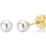 Reduzierte Silberne FIRETTI Perlenohrstecker aus Gold 10 Karat mit Echte Perle für Damen zum Jubiläum 
