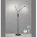 Fischer & Honsel LED-STEHLEUCHTE , Schwarz , Metall , 150 cm , Innenbeleuchtung, Stehleuchten