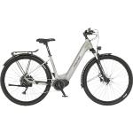 FISCHER Terra 4.0I All Terrain Bike (ATB) (Laufradgröße: 29 Zoll, Rahmenhöhe: 43 cm, Damen-Rad, 630 Wh, Greige)