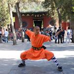 FJJLOVE Kinder Kung Fu Uniform, Chinesische Traditionelle Tai Chi Wushu Kleidung Kinder Kampfsport Performance-Kostüm Shaolin Taekwondo Training Bekleidung,Orange,XS