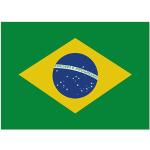 FLAGBR Fahne Brasilien