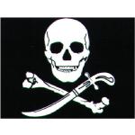 6x Piratenflagge 45 x 30 cm Piratenfahne Totenkopf Piratenparty