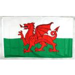 Buddel-Bini Wales Flaggen & Wales Fahnen aus Metall UV-beständig 