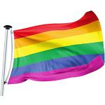 Reduzierte LGBT Regenbogenfahnen UV-beständig 