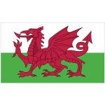 Fahne Wales CYMRU Hissflagge 90 x 150 cm Flagge 