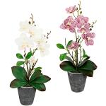 Reduzierte Cremefarbene Künstliche Orchideen aus Seide im Topf 2-teilig 