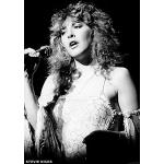 Fleetwood Mac Poster Stevie Nicks LIVE