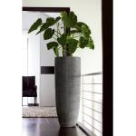 Graue 120 cm Bodenvasen & Vasen für Pampasgras 120 cm matt aus Glasfaser 