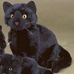Reduzierte Schwarze 30 cm Förster Stofftiere Katzenkuscheltiere aus Stoff maschinenwaschbar 