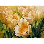 Blumenmuster Tulpen-Fototapeten mit Tulpenmotiv 
