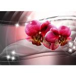 Rosa Moderne Orchideen-Fototapeten UV-beständig 