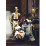 Fototapete Papier 4-447 Disney Edition 4 Star Wars 3 Droids 4-tlg. 184 x 254 cm