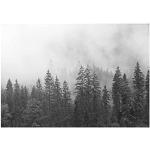 Schwarze Moderne Wald-Fototapeten mit Landschafts-Motiv UV-beständig 