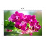 Bunte Blumenmuster Orchideen-Fototapeten aus Vinyl 