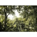 Fototapete Vlies V7-751 Dschungel 7-tlg. 350 x 250 cm