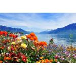 Fototapete Vlies 18974 Mountain Lake Flowers 7-tlg. 350 x 260 cm