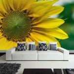 Gelbe Blumenmuster Sonnenblumen-Fototapeten mit Blumenmotiv aus Papier 