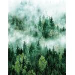 Tannengrüne Marburg Wald-Fototapeten 