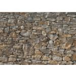 Graue Komar Stone Wall Steinwand-Fototapeten aus Papier 