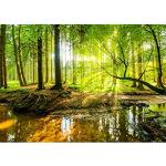 Braune Moderne Wald-Fototapeten UV-beständig 