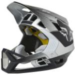 Fox Helm Full Face Proframe Silver/Black XL