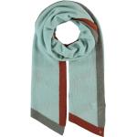 Reduzierte Mintgrüne Unifarbene Elegante Fraas Kaschmir-Schals aus Kaschmir für Damen Einheitsgröße 