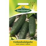 Freilandgurke 'Sindy' Quedlinburger Gemüsesamen