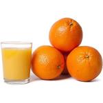 Reduzierte Orangen 