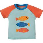 Frugi T-Shirt - Renny Raglan 80 Tidal Blue/Fish