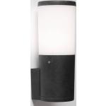 Fumagalli LED-Außenwandlampe Amelia mit CCT, schwarz