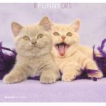 ALPHA EDITION Wandkalender mit Katzenmotiv aus Papier 