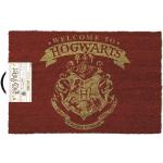 Harry Potter Hogwarts Fußmatten aus PVC 