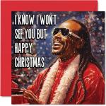 Fuuny unhöfliche Weihnachtskarten für Frauen und Männer – Stevie Wonderful Time Of Year – Mutter, Vater, Schwester, Bruder, Cousin, Onkel, Tante, Bestie, Arbeitskollege, 145 mm x 145 mm, einzelne