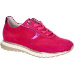 Pinke Gabor Comfort Runde Low Sneaker in Komfortweite aus Veloursleder mit herausnehmbarem Fußbett für Damen 