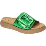 Grüne Gabor Runde Damenclogs & Damenpantoletten mit Klettverschluss in Normalweite aus Glattleder mit herausnehmbarem Fußbett mit Absatzhöhe bis 3cm 