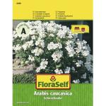 FloraSelf Blumensamen & Pflanzensamen 
