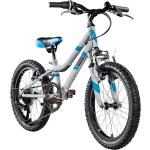 Galano Ravan Mountainbike 29 Zoll Hardtail 175 - 190 cm für Damen und  Herren MTB Fahrrad 24 Gänge Mountain Bike