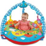 Galt Toys, Playnest and Gym - Farm, Sit Me Up Baby Seat, Ages 0 Months Plus
