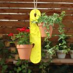 Gelbe 50 cm Pflanzenampeln & Blumenampeln 21 cm aus Kunststoff mit Halterung 