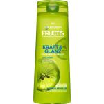 GARNIER Fructis Kraft & Glanz Shampoos 300 ml mit Vitamin B3 für  normales Haar 