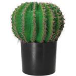 Gasper Kaktus Echino im Kunststofftopf 33 cm Topfpflanze