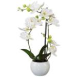 Gasper Phalaenopsis Orchidee im Keramiktopf 42cm Kunstpflanze weiß