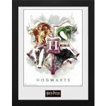 Harry Potter Hogwarts Kunstdrucke aus Holz 